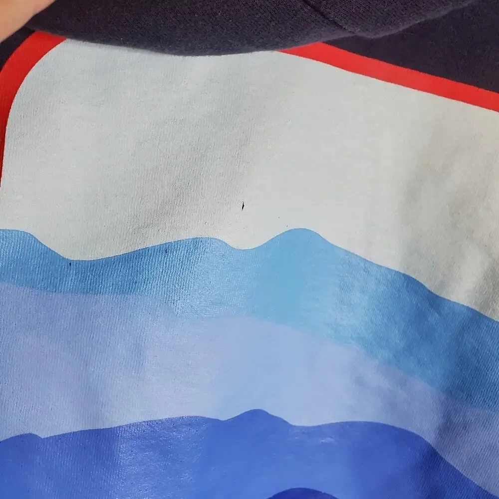 The North face Blue men's graphic back sweatshirt Worn and a bit stretched out